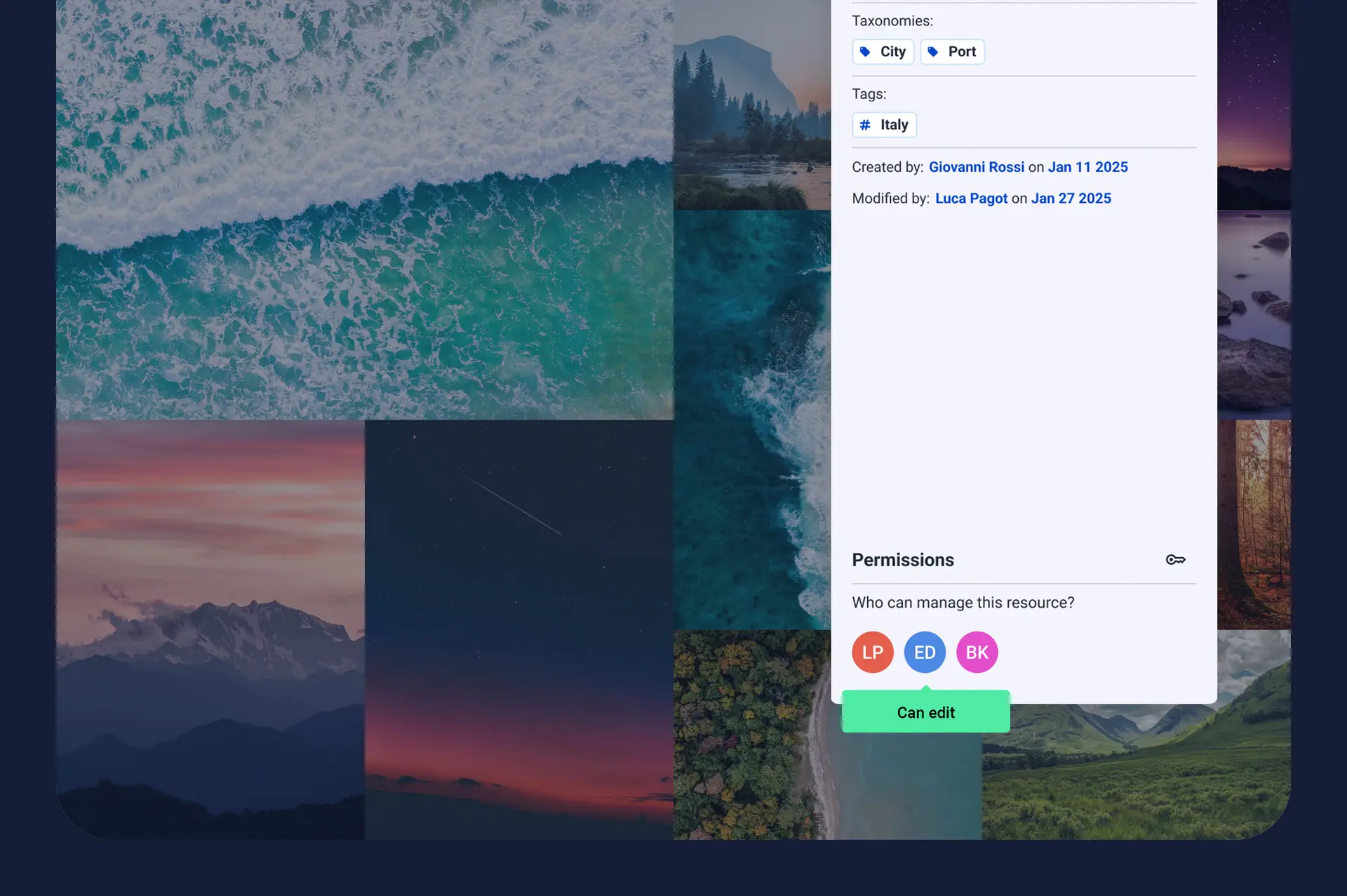 User permission management with customized access options