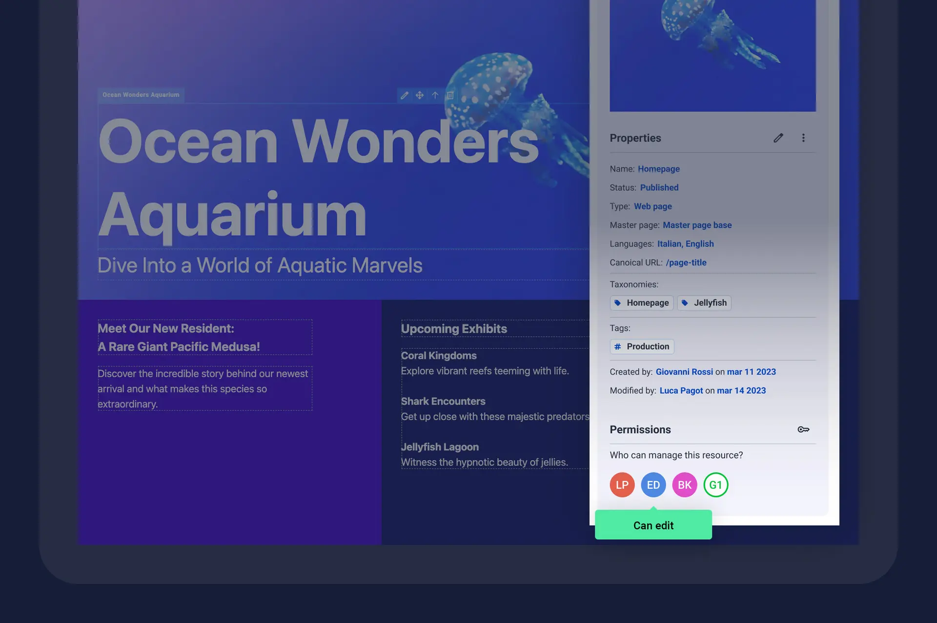 User permission management with customized access options
